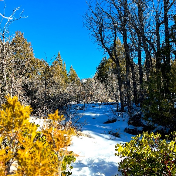 Meet your Posher, Adam - Picture 1 of 1